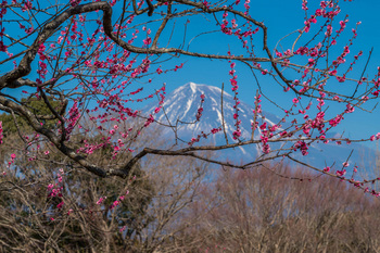 富士山と-3.jpg